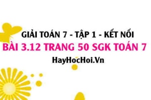 Giải bài 3.12 trang 50 Toán 7 Tập 1 SGK Kết nối tri thức